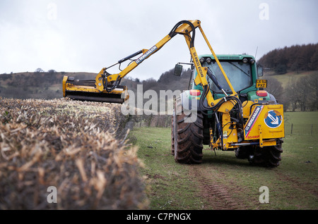 Tractor cutting hedges on farmland in south Wales. Stock Photo