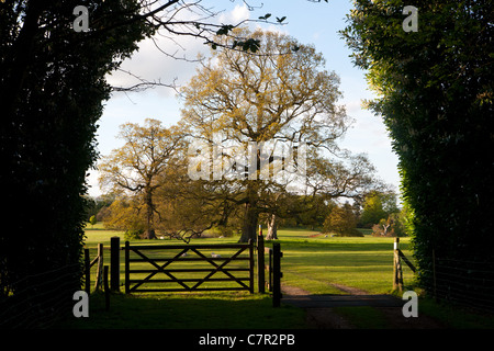 HAUGHLEY PARK; FIELD AND COUNTRY GATE Stock Photo