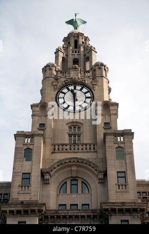 The clock and Liver bird on the Royal Liver Building, Pier Head, Liverpool Stock Photo