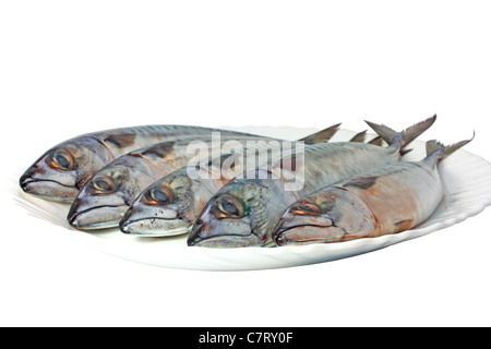 Mackerels on plate isolated on white Stock Photo