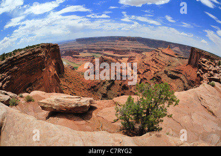 Panoramic fisheye view of eroded cliffs and other formations from an overlook in Dead Horse Point State Park near Moab, Utah Stock Photo