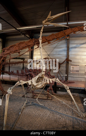 Dinosaur museum Esperaza, France Stock Photo
