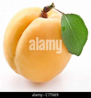 Apricot with leaf on a white background. Stock Photo