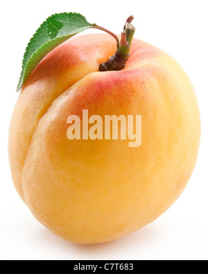 Apricot with leaf on a white background. Stock Photo