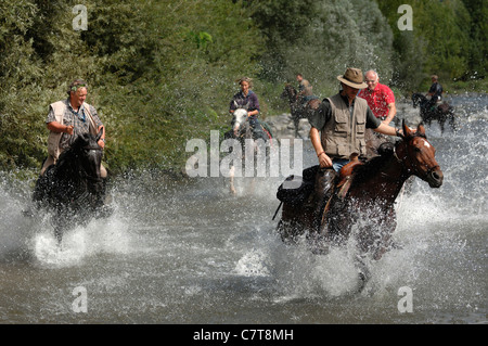 Horse trekking Stock Photo