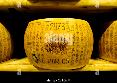 Italy, Emilia Romagna, Castelnovo Rangone. Close-up of a parmesan cheese in the storage room