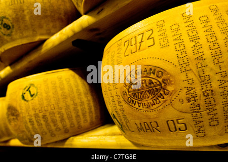 Italy, Emilia Romagna, Castelnovo Rangone. Parmesan cheese in the storage room