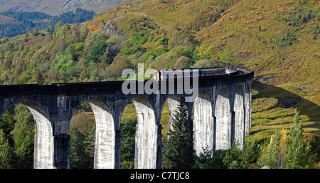 First Scotrail diesel train crossing Glenfinnan Viaduct in autumn,  Lochaber Scotland UK Europe Stock Photo