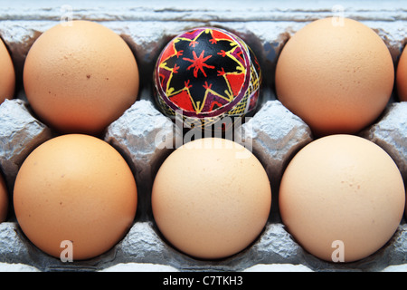 black and red pysanka Easter egg in a carton of brown eggs Stock Photo