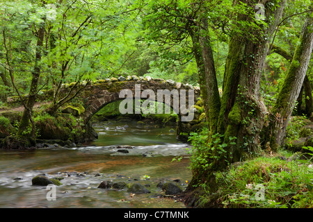 Ancient stone bridge crossing the River Bovey in Hisley Wood, Dartmoor, Devon, England. Summer (July) 2011. Stock Photo