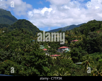 A village in a green, tropical valley in the Commonwealth of Dominica, West Indies, Caribbean. Stock Photo