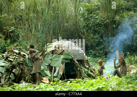 Africa, Zaire. Pygmy village in forest Stock Photo