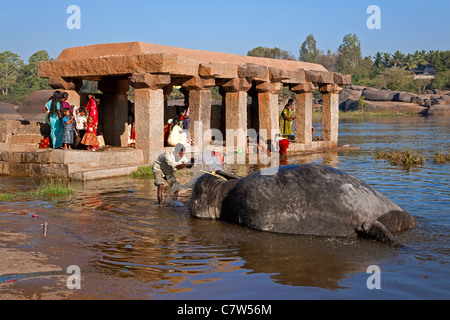Mahout (elephant keeper) washing an elephant. Tungabhadra river. Hampi. Karnataka. India Stock Photo