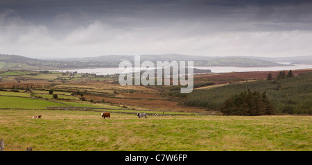 Ireland, Co Wicklow, Wicklow mountains, Blessington Lakes, reservoir supplying Dublin’s drinking water Stock Photo