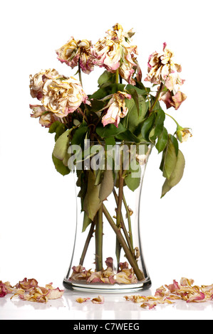Bouquet of withered roses in glass or crystal vase. Stock Photo