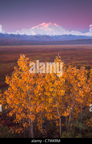 Mt McKinley, also called Denali, Denali National Park, Alaska. Stock Photo