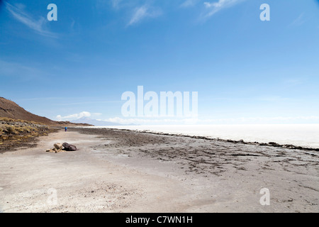 Woman walking in the distance on Isla Pescado, Fish Island, Uyuni Salt Lake, Bolivia Stock Photo