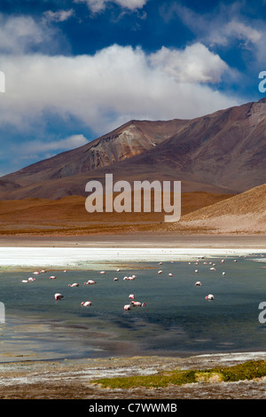 The stunning scenery of the Bolivian altiplano, between San Pedro de Quemez and Ojo de Perdiz Stock Photo