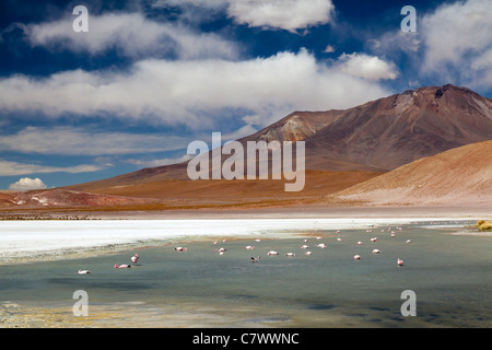 The stunning scenery of the Bolivian altiplano, between San Pedro de Quemez and Ojo de Perdiz Stock Photo