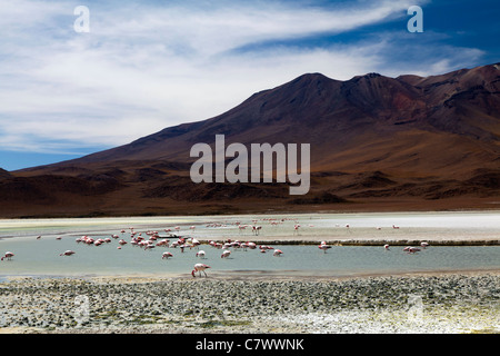 The stunning scenery of the Bolivian altiplano, between San Pedro de Quemez and Ojo de Perdiz Stock Photo