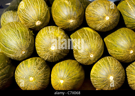 Crhistmas melon or Santa Claus Piel de Sapo fruit Stock Photo