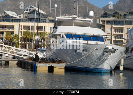 pleasure boat & apartments, Cape Town, Western Cape, South Africa Stock Photo