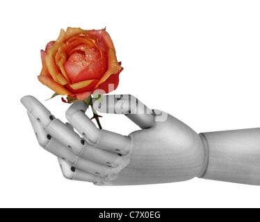 Robot hand holding rose flower over white Stock Photo