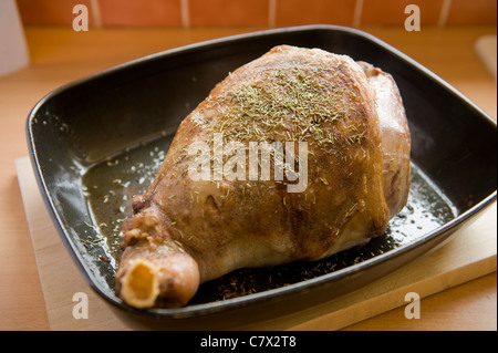 leg of lamb uncooked and seasoned in dark roasting pan Stock Photo