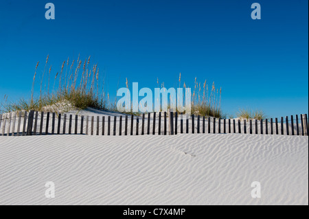 Windblown sugar white sands and fence next to sand dunes covered in sea oats in Gulf Islands National Seashore Stock Photo