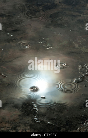 Raindrops in puddle reflecting dark moody stormy sky. India Stock Photo