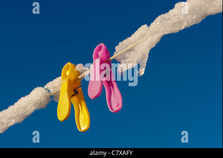 Colorful clothes pegs on a clothes line covered in ice in winter with a vivid blue sky. Icicles formed on a washing line with pink and yellow pegs. Stock Photo