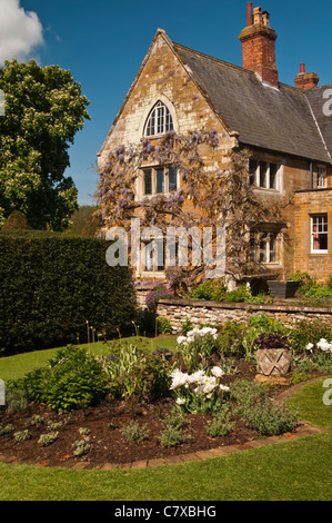 Wisteria climbs the rich sandstone walls of Coton Manor gardens with a newly planted border in the foreground, Northamptonshire, England Stock Photo