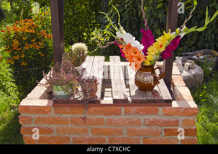 Cacti and multicolor flowers dapped in vase. Stock Photo