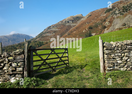 Stone wall fields and Lingmoor Fell Little Langdale Lake District ...