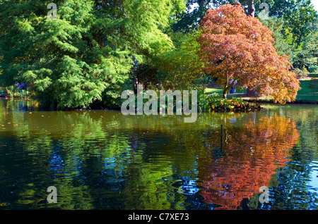 Early autumn colour at Exbury Gardens in the New Forest, Hampshire, England Stock Photo