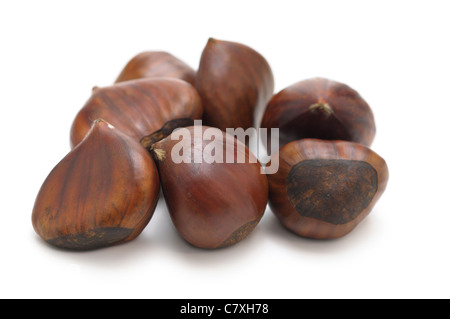 Chestnuts, Castanea Stock Photo