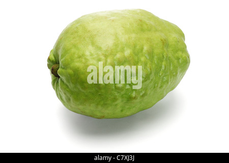 Fresh green guava fruit on white background Stock Photo