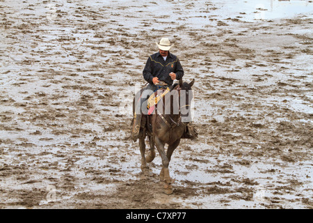 Mud covered cowboy at the Calgary Stampede, Canada. A wrangler and his horse are mud spattered on a rainy afternoon. Stock Photo