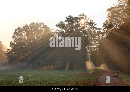 Sunburst through the trees, St Johns College Cambridge, Autumn England, UK Stock Photo