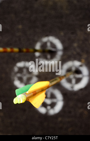 Two arrows in target's bulls-eye. Depth of field view Stock Photo