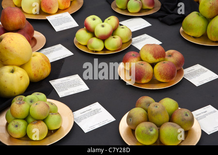 Heritage British Apples display at Malvern autumn show 2011 Stock Photo