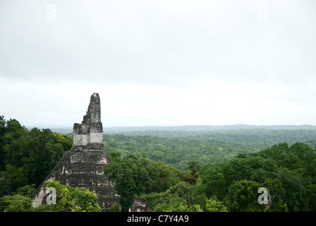 Tikal Mayan Ruins in Guatemala poking out above the rainforest canopy Stock Photo