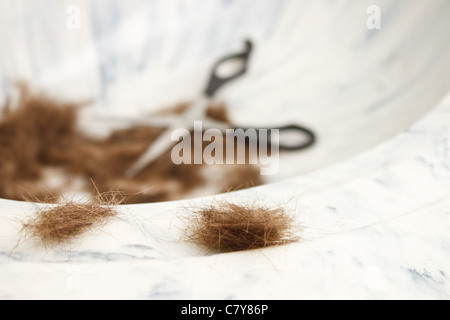 Hair chunks at the edge of sink with out-of-focus scissors and hair in background Stock Photo