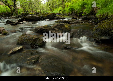 Welsh river landscape, Fast flowing water runs over the rocks and rapids. Stock Photo