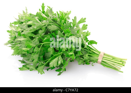 Green parsley bunch Stock Photo