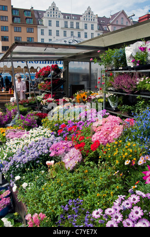 Flower stand at Bergen Flower & Fish Market on the Old Wharf Stock Photo