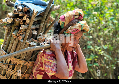 Khmu hill tribe in Laos, old woman carrying firewood Stock Photo