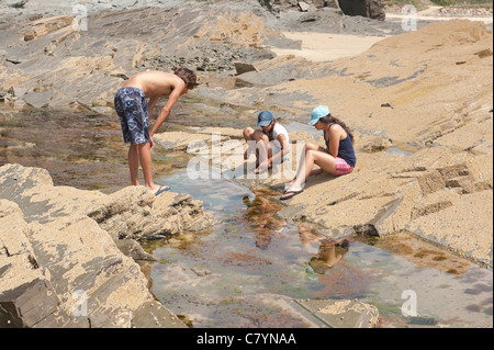 https://l450v.alamy.com/450v/c7ynaa/teenagers-rock-pool-fishing-and-exploring-the-low-tide-sea-water-pools-c7ynaa.jpg