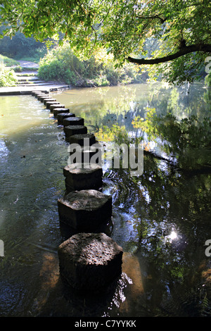 The stepping stones crossing the river Mole below Box Hill near Dorking Surrey England UK Stock Photo