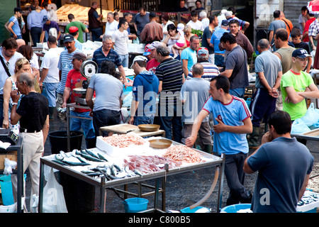 Traditional fish shop selling seafood at old market in Catania, Sicily, Sicilia, Italy Stock Photo